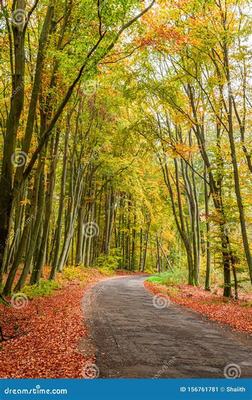 梦幻情天（0.1折扣版） 三国策略手游的网络技术研发探秘